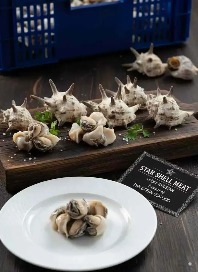 Star Shell Meat product photo